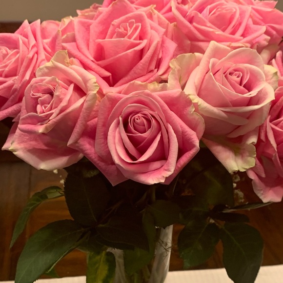 Meet your Posher, Lynsey - Picture 5 of 12